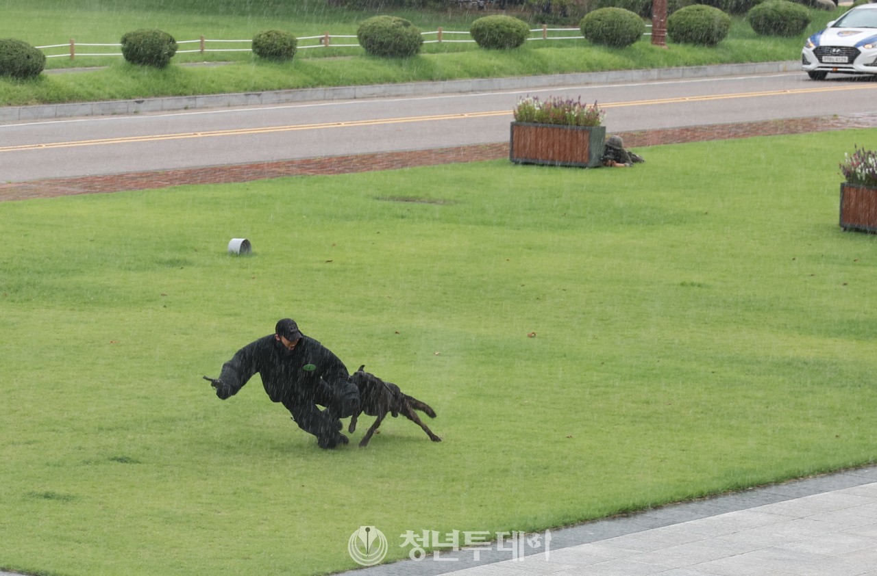2023 을지연습 테러 및 재난대응 종합훈련을 위해 국회에 침투한 테러범을 경찰견이 제압하고있다. 2023.8.21